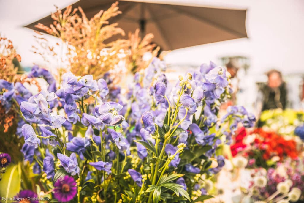 Columbia Road Flower Market