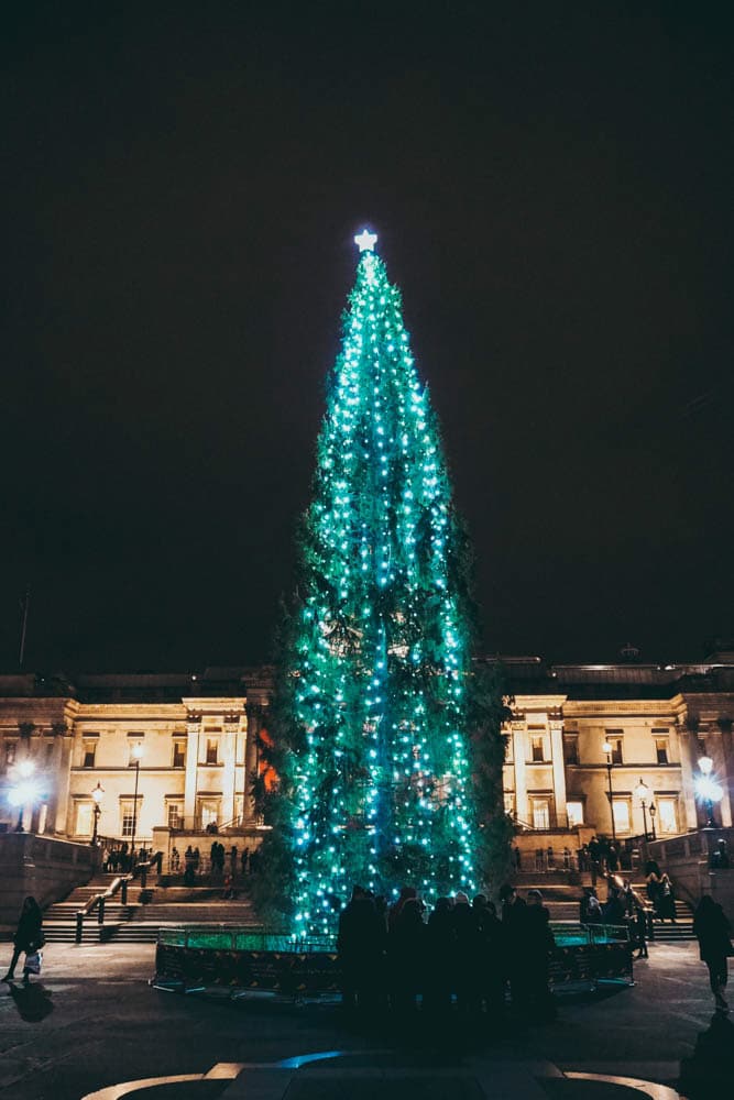 Trafalgar Square Christmas Tree