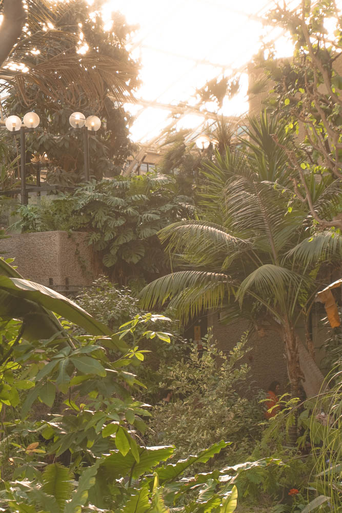 Barbican Conservatory