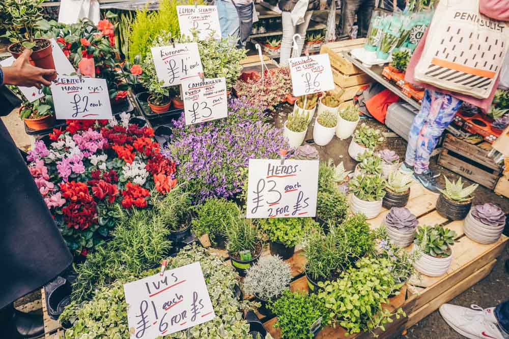 Herbs at the market