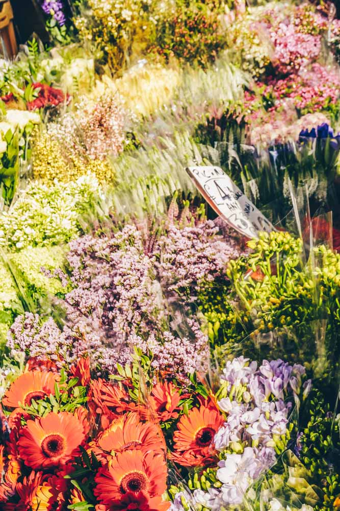 Flowers at the Market