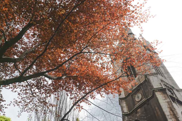 Autumn leaves against the surviving tower of St Dunstan in the East