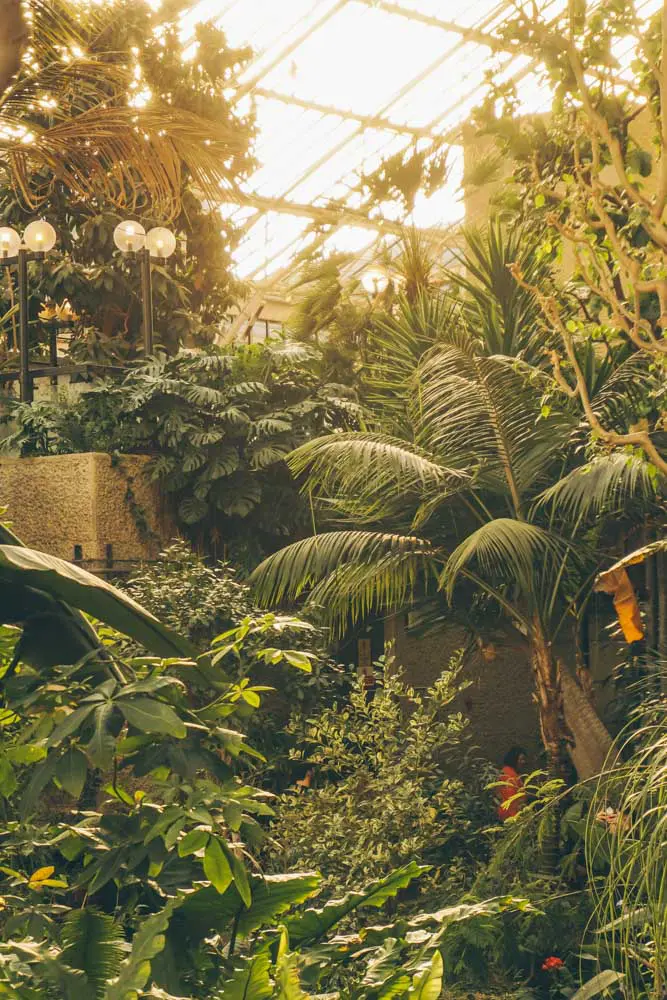 Botanical Gardens London Barbican Fasci Garden