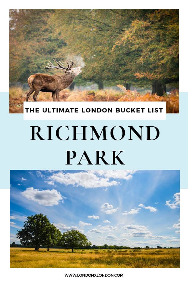 Richmond Park Guide