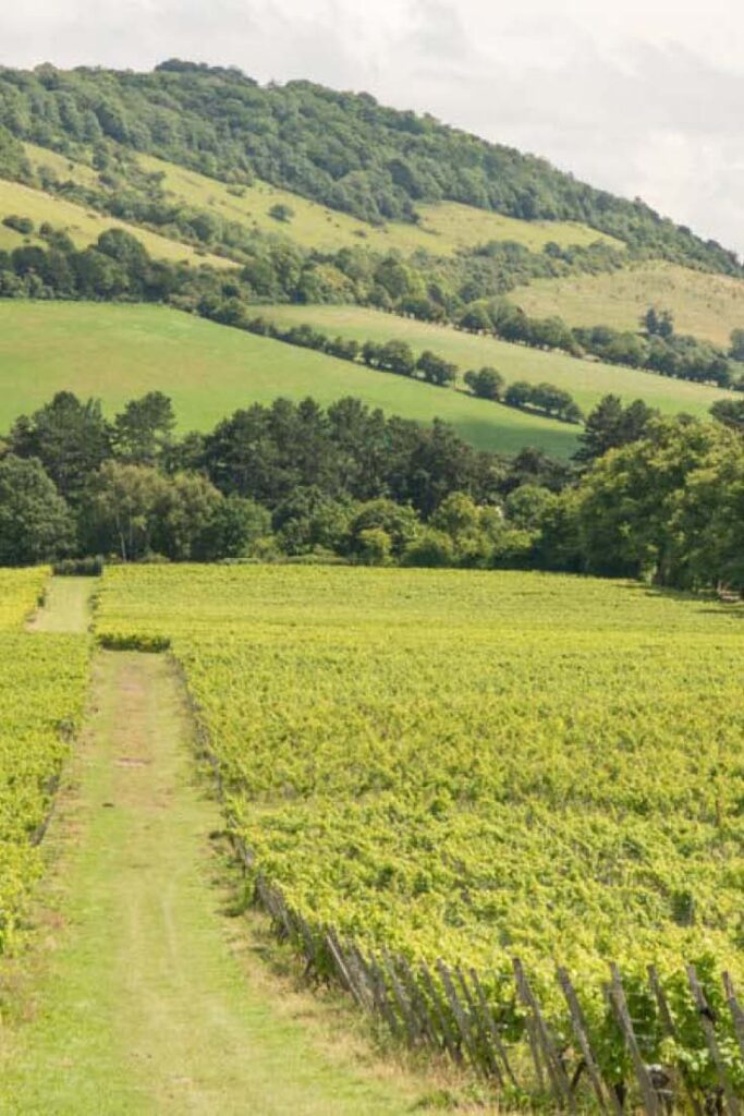 country-walks-London