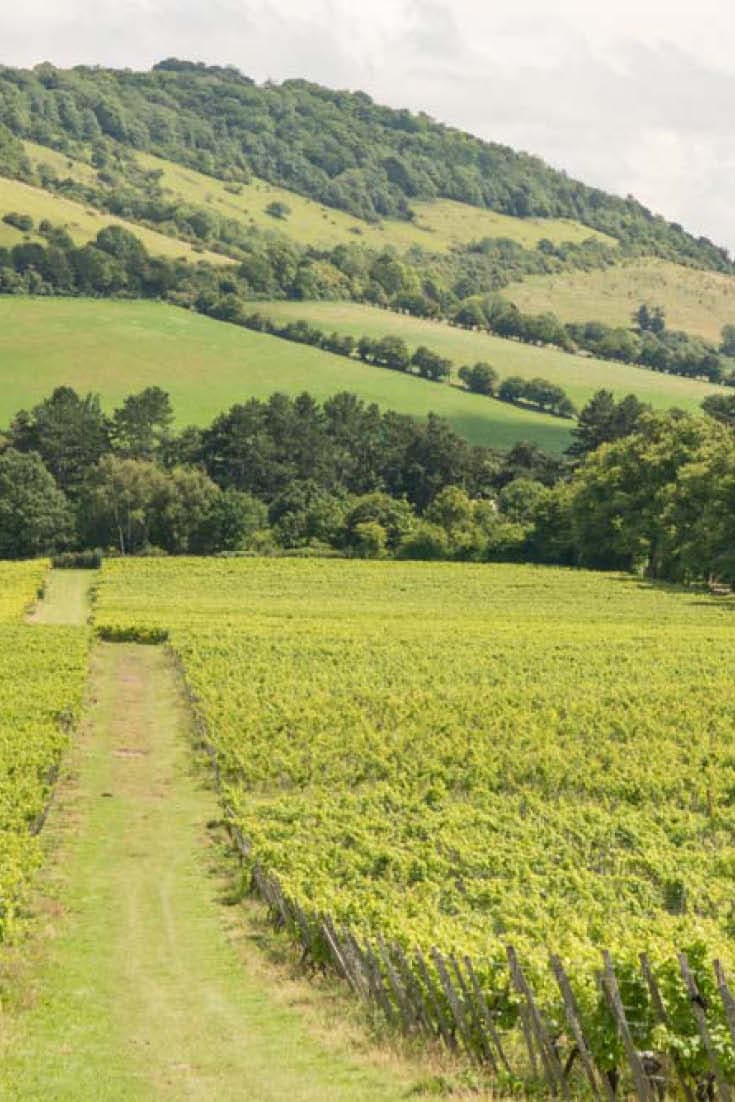 country-walks-London