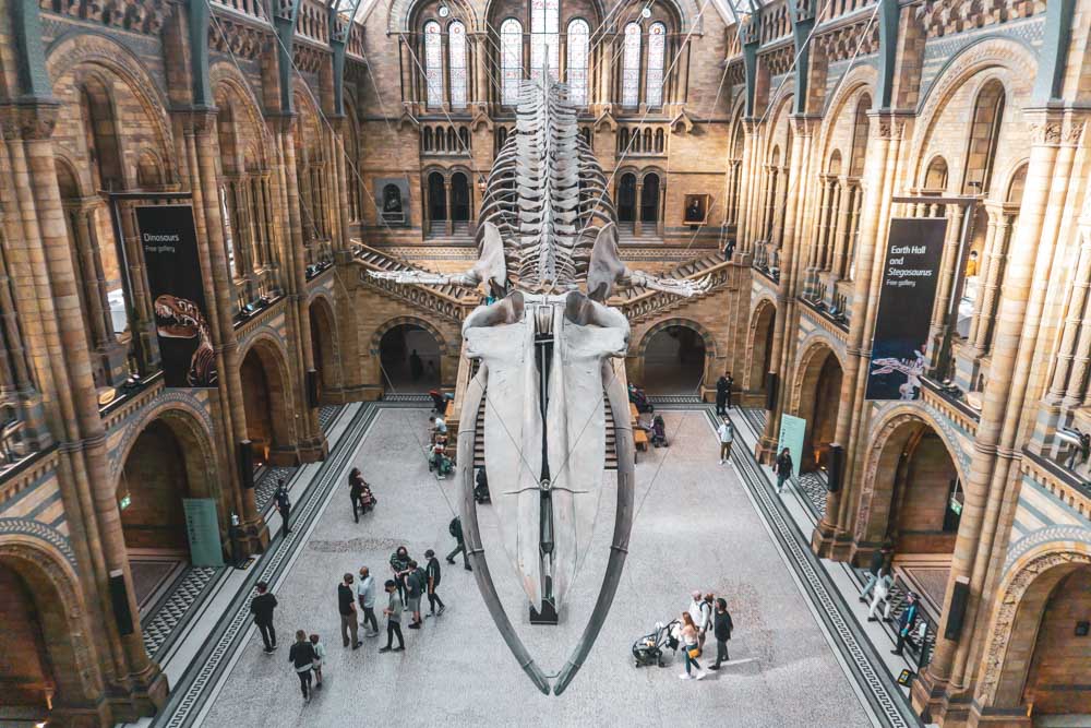 Natural History Museum 