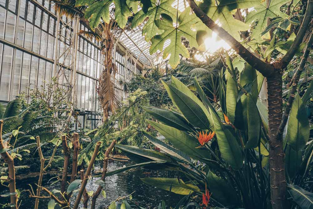 The Barbican Conservatory