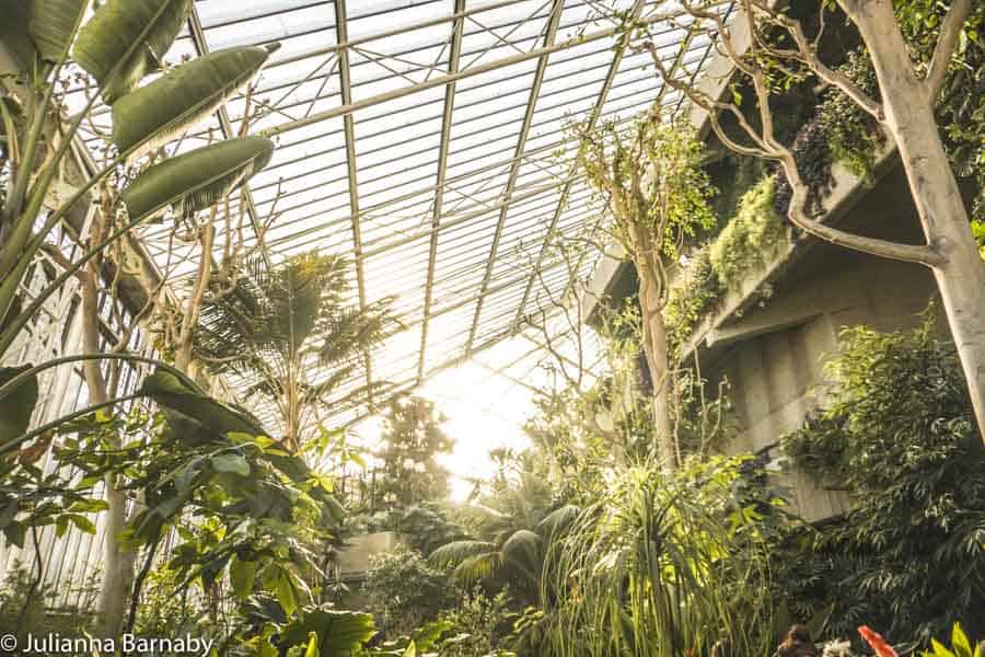 Inside the Barbican Conservatory