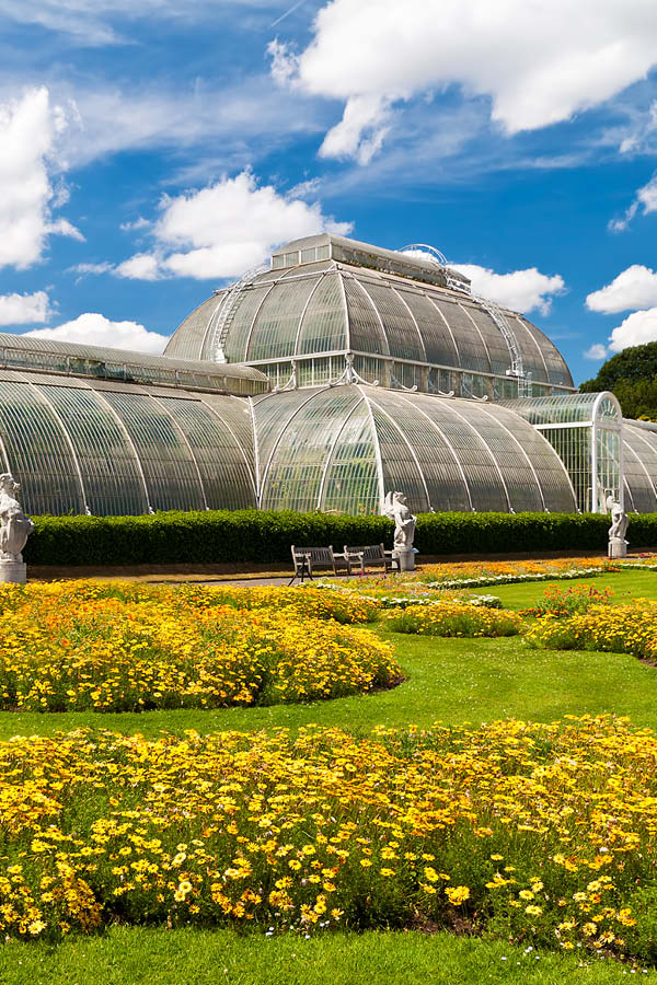 Garden in London