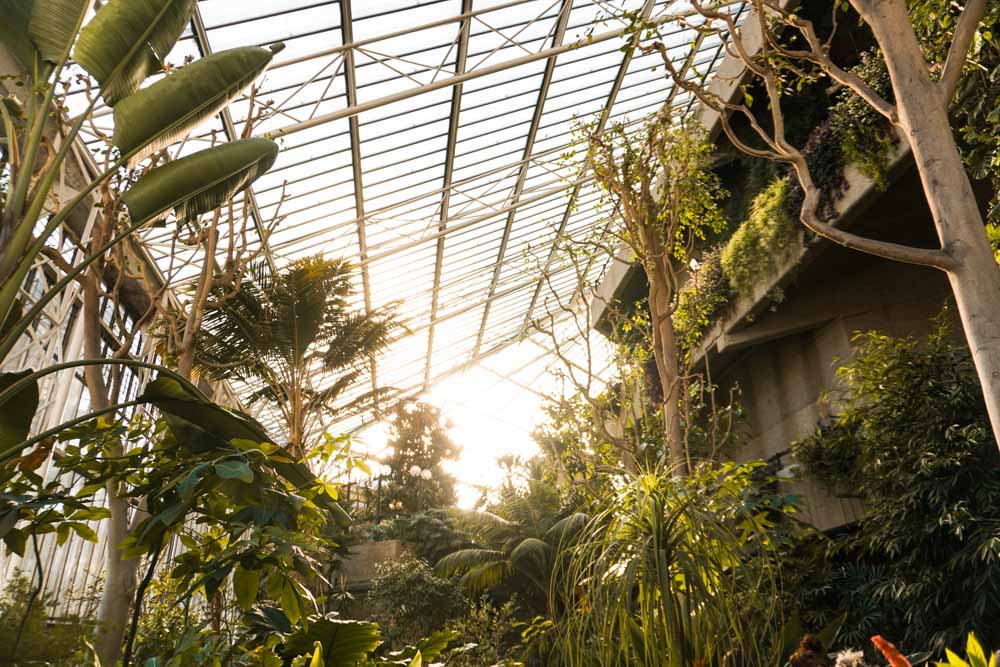 Barbican Conservatory