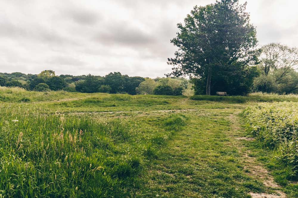 Hampstead Heath Walks