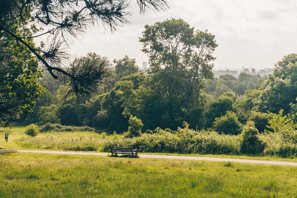 More views of the heath