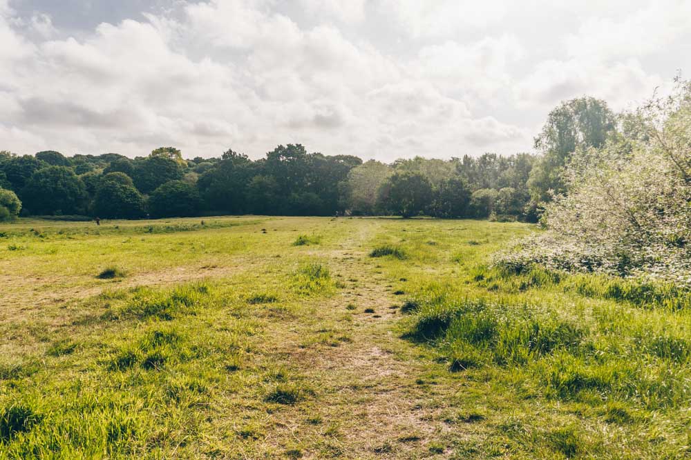 Hampstead Heath