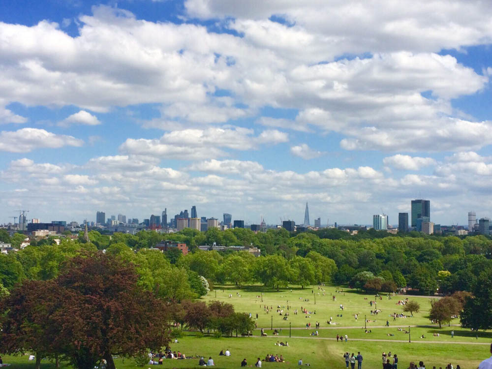 primrose hill