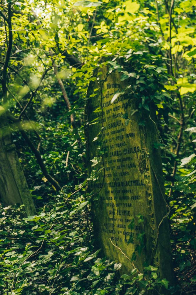 Grave in the woodland