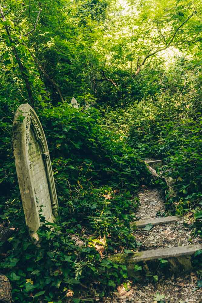 Pathway through the graves