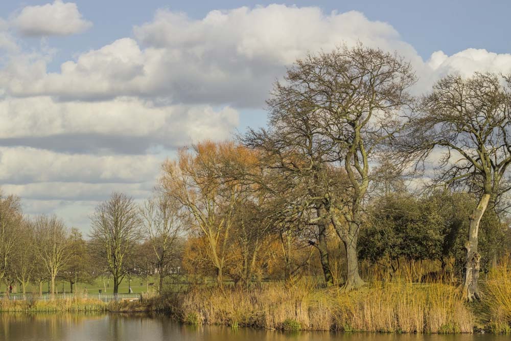 Clapham Common