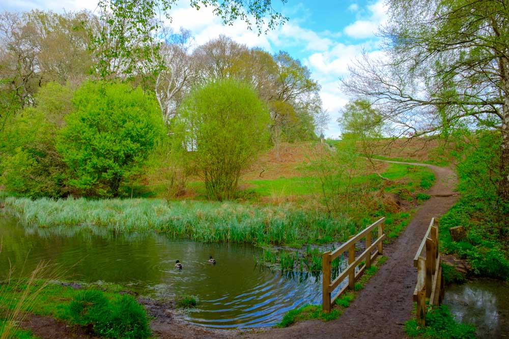 Wimbledon Common