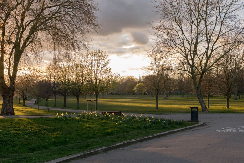 The park at sunset 