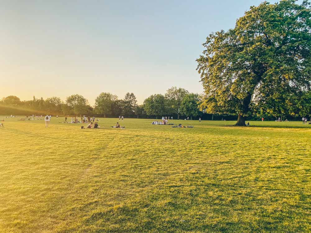 Dulwich Park: An Insider’s Guide to South London’s Prettiest Park