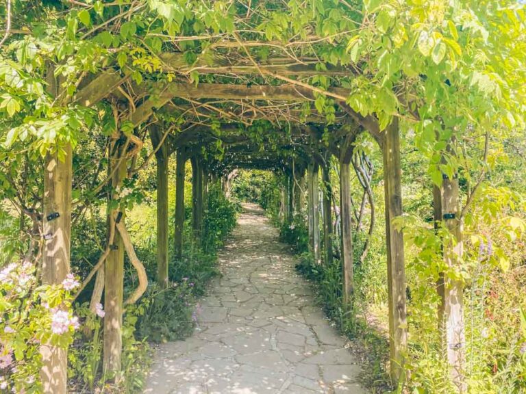 The Rookery garden in Streatham