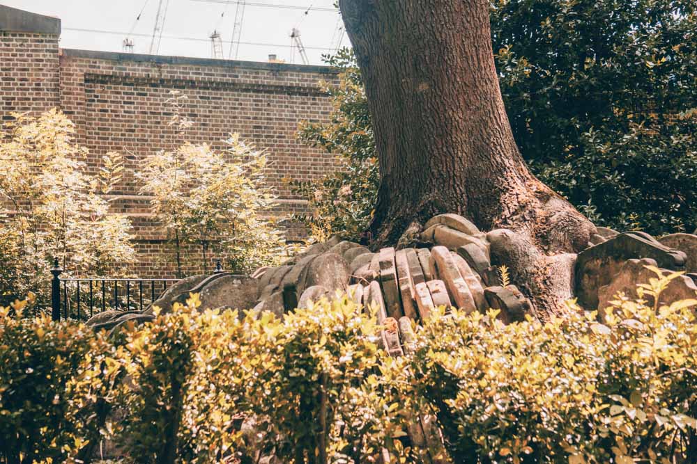 The Hardy Tree –  Discovering the Secret of St Pancras Old Church