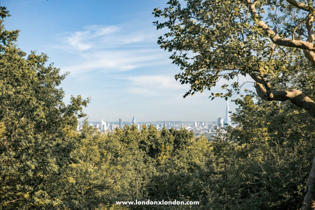 The views of the London skyline 