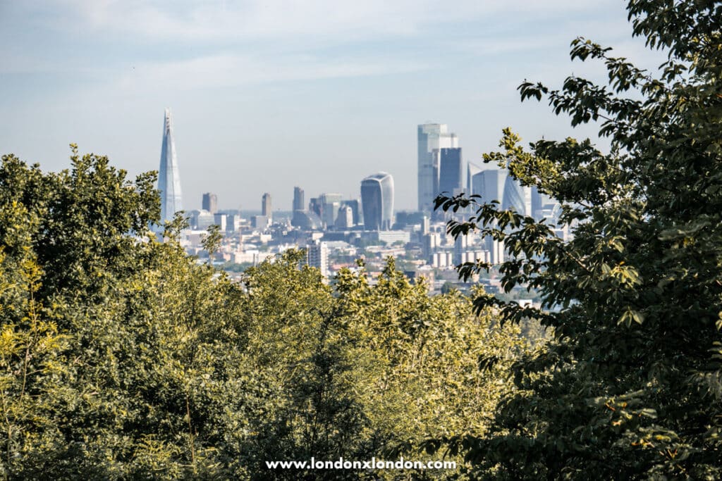The Views from One Tree Hill London