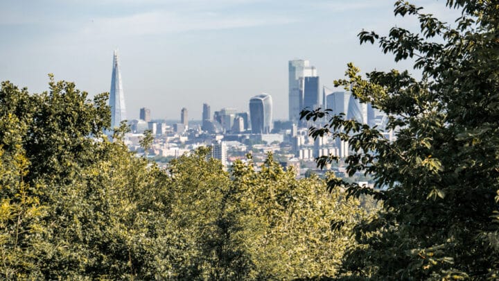 One Tree Hill: The London Park With Stellar Views (And a Weird History)