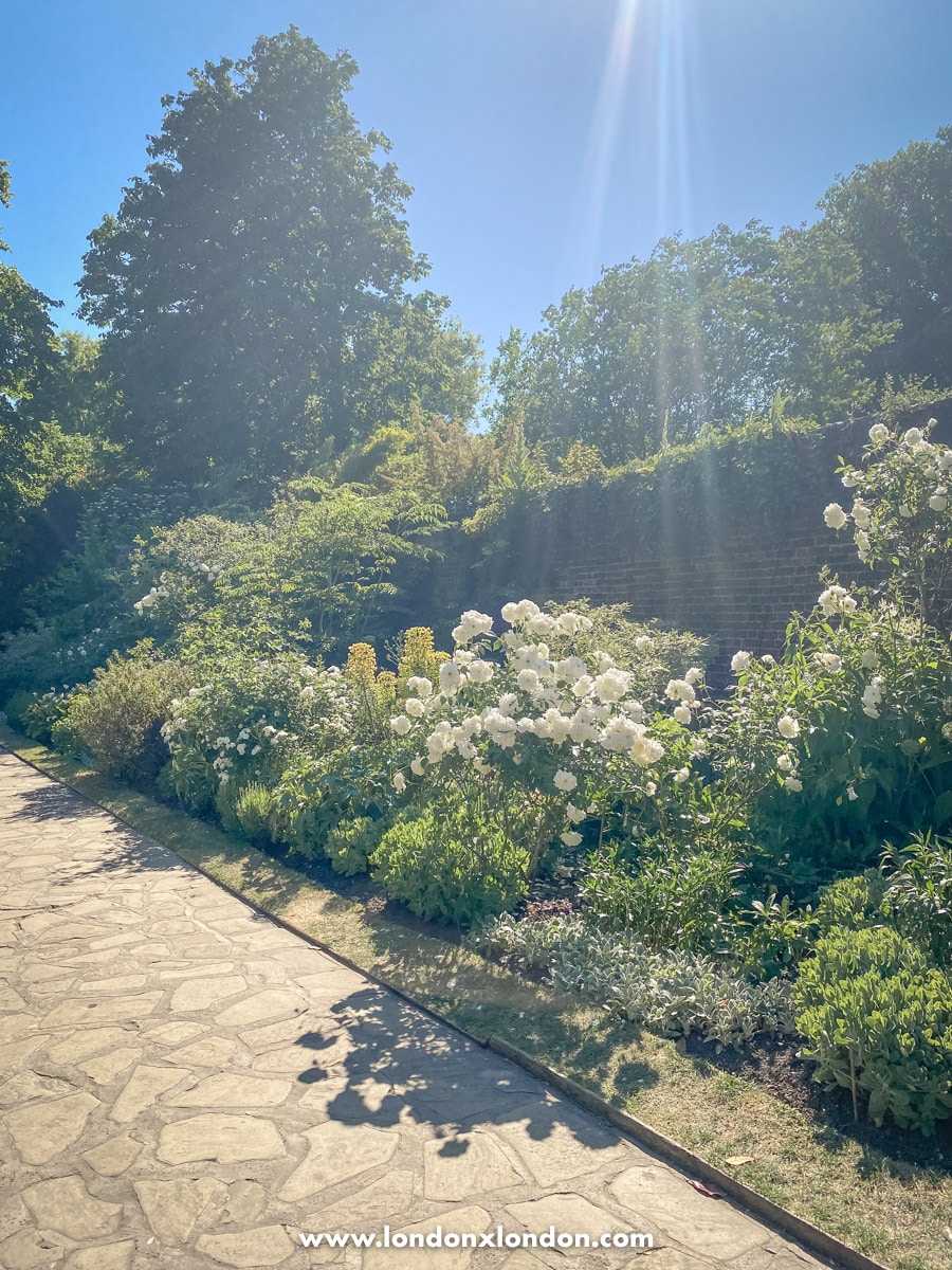 The white garden and wall 