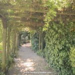 Streatham has a 300-year-old secret garden, and its White Garden predates Sissinghurst’s by 30 years – say hello to The Rookery