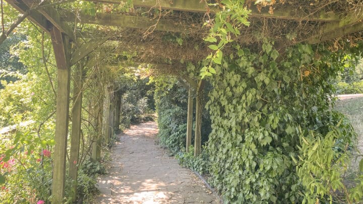 The Rookery – Why You Need to Explore Streatham’s Secret Garden
