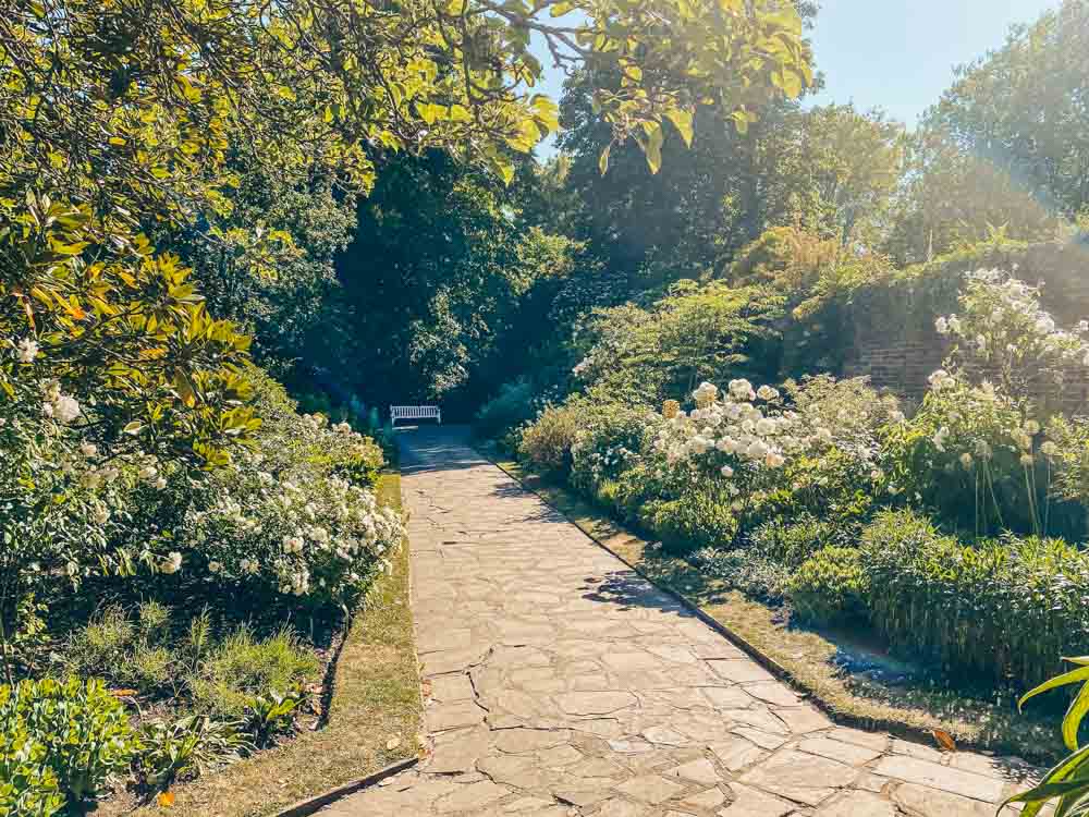 Streatham Rookery