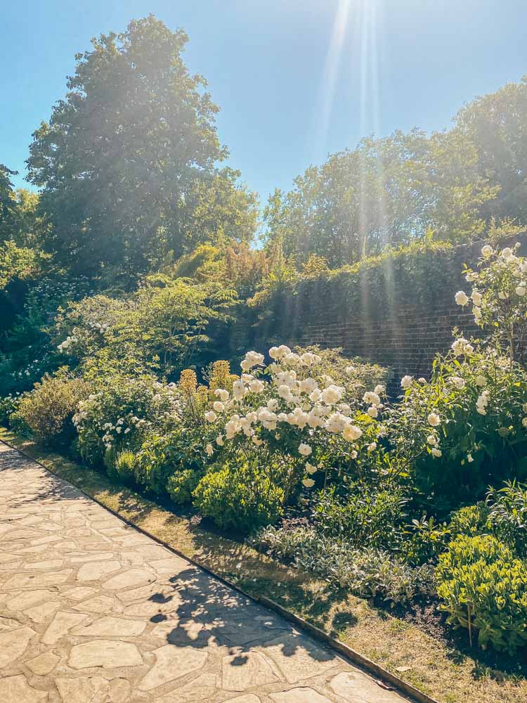 The white garden