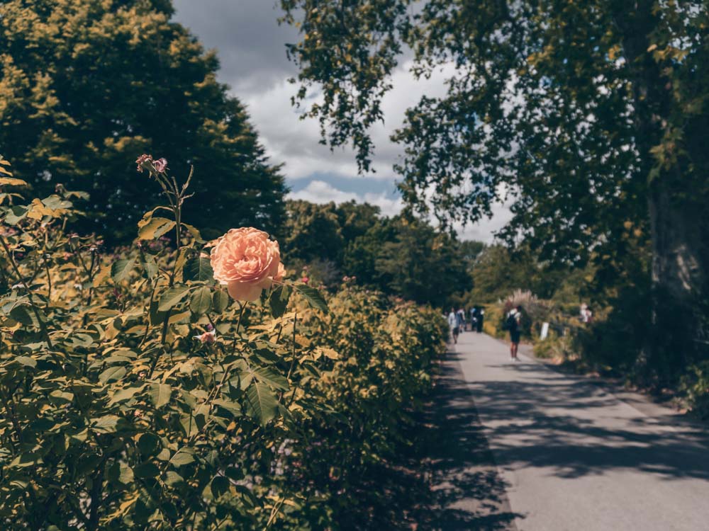 REgent's Park