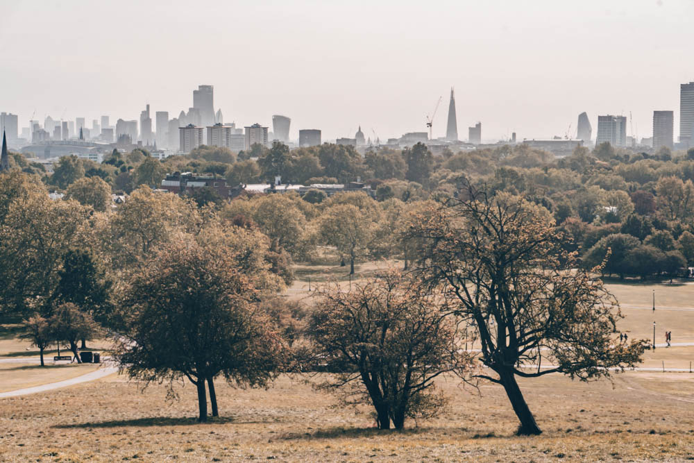 Primrose Hill 