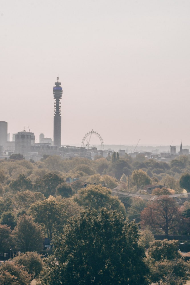 Views from Primrose Hill