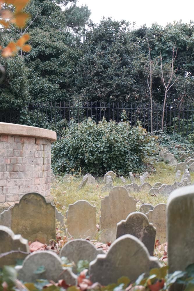 Inside the Pet Cemetery 