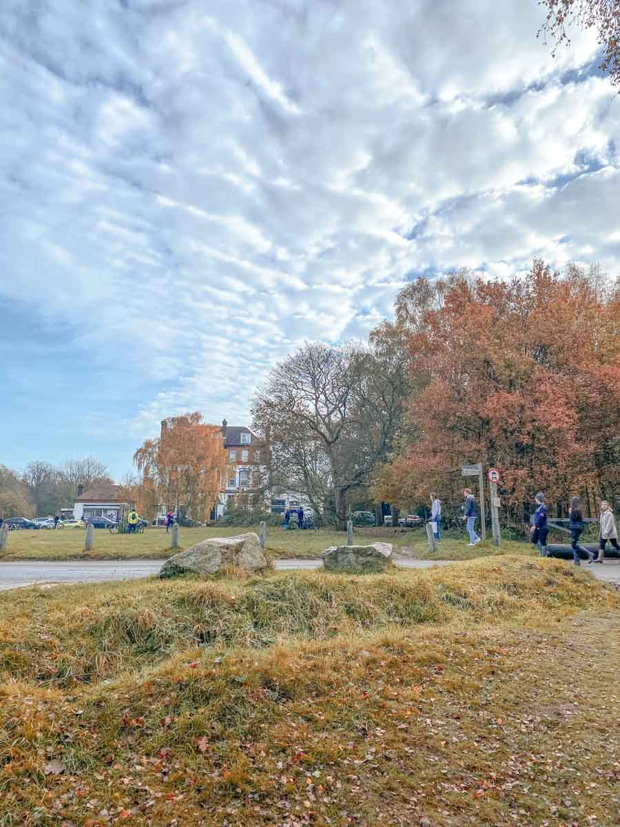 Explore Epping Forest With These (Rather Fantastic) Walks