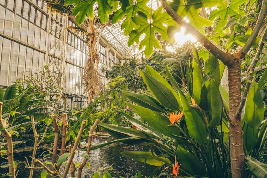 Barbican Conservatory