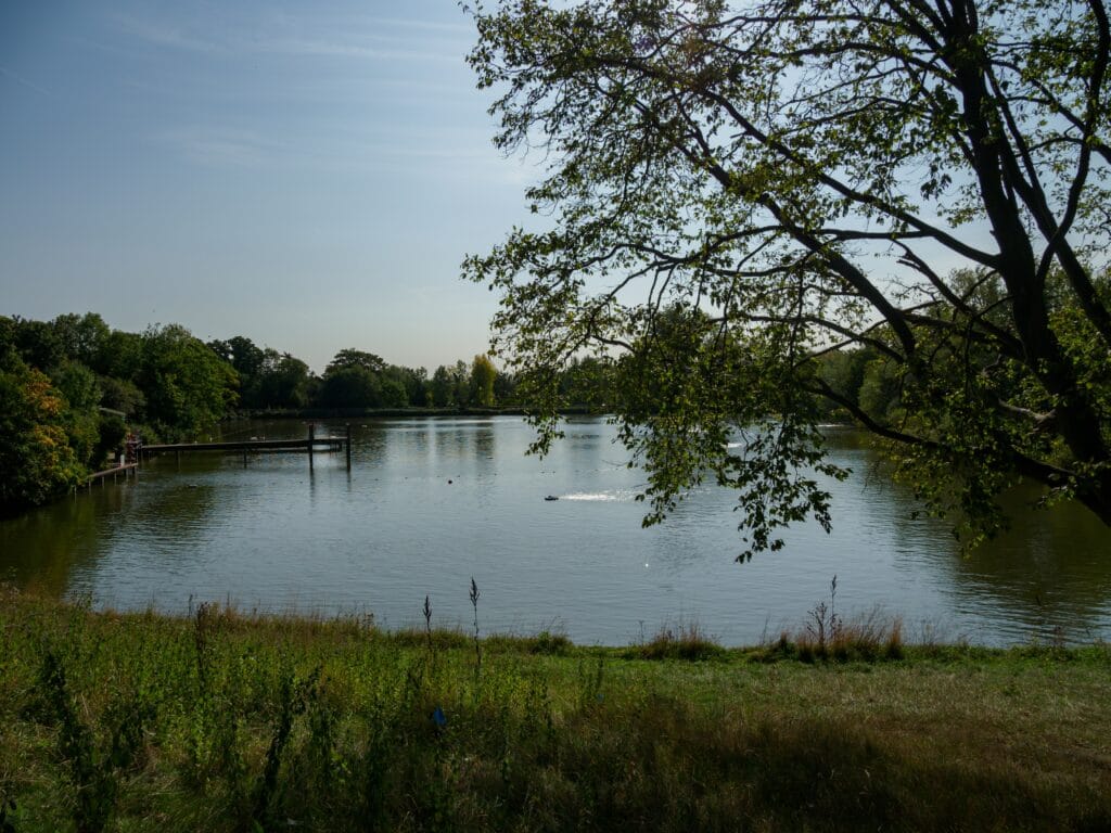 Hampstead Heath Ponds