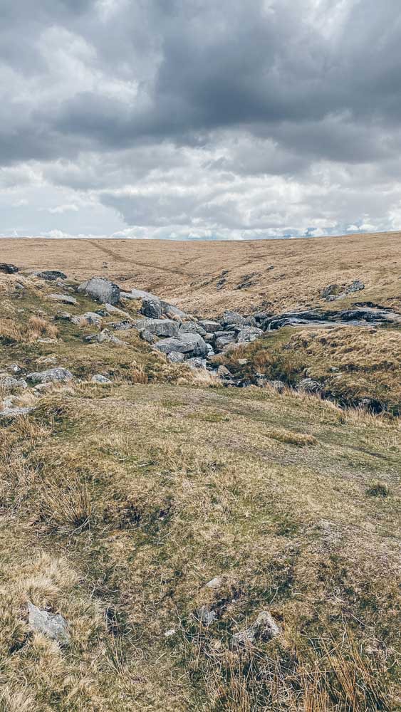 Dartmoor