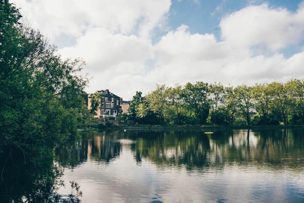 Hampstead Ponds