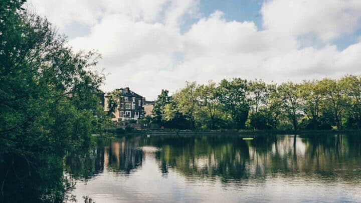 Where to go Wild Swimming in London for a Refreshing Dip