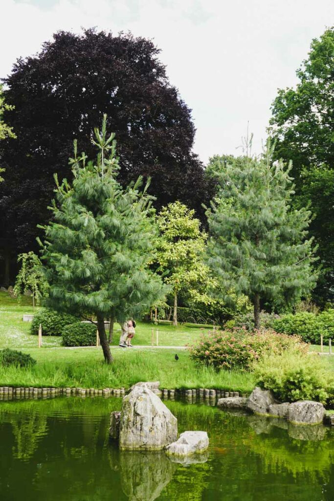 Kyoto Garden