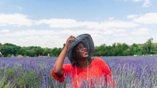 Lavender Fields