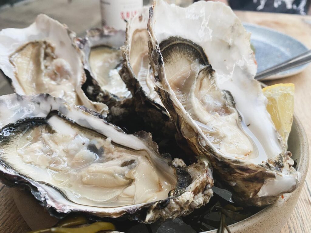 Carlingford Rock Oysters at Fallow