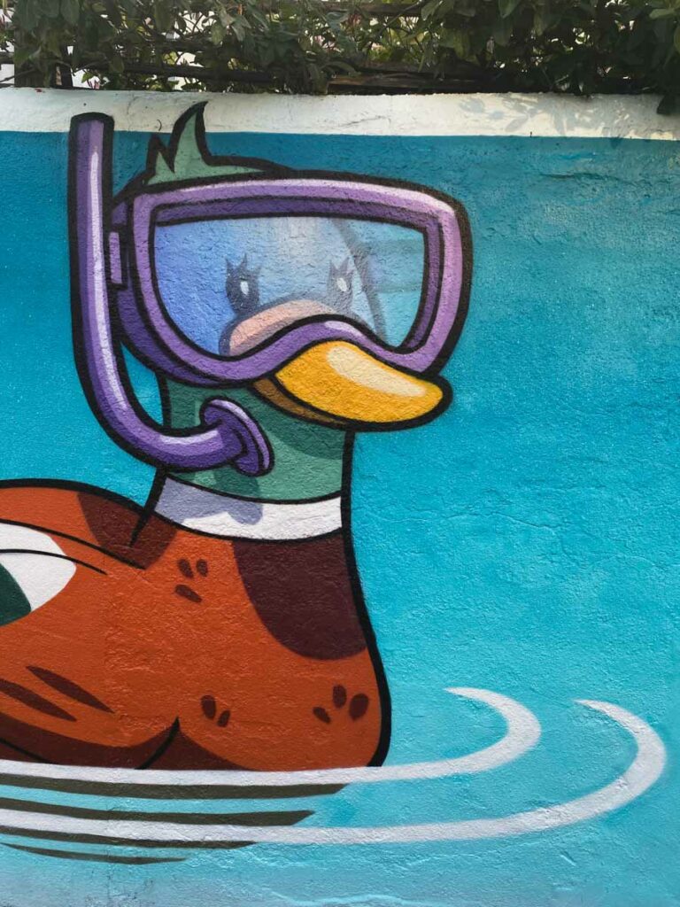 Snorkelling duck by Roo
