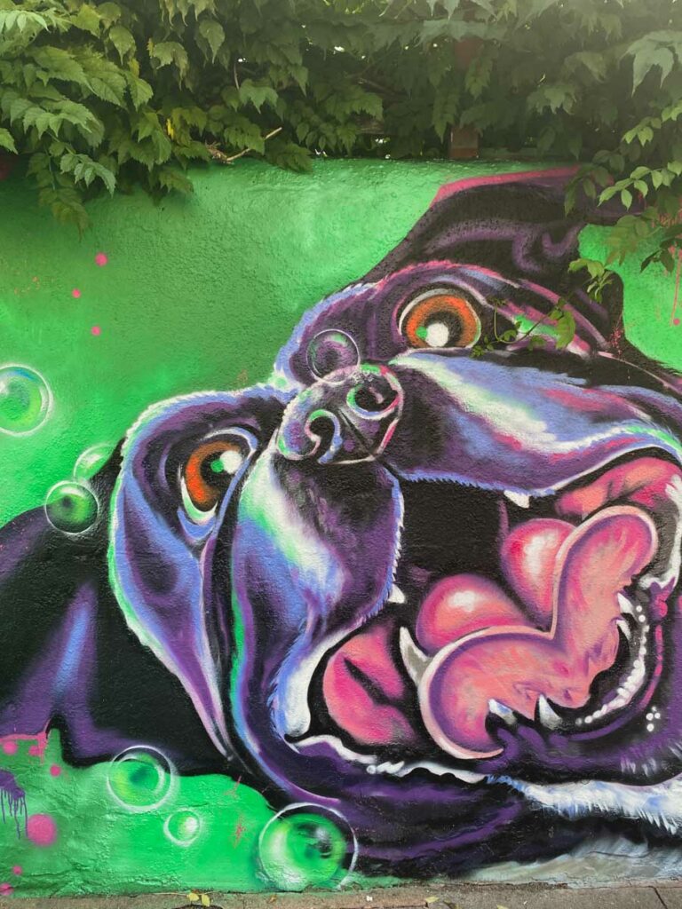 Excitable dog mural by Layla in Penge